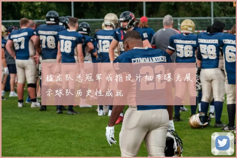 猛龙队总冠军戒指设计细节曝光展示球队历史性成就