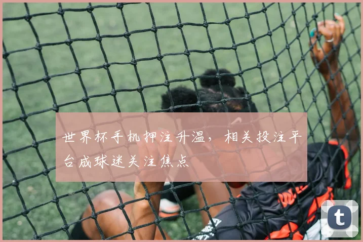世界杯手机押注升温，相关投注平台成球迷关注焦点