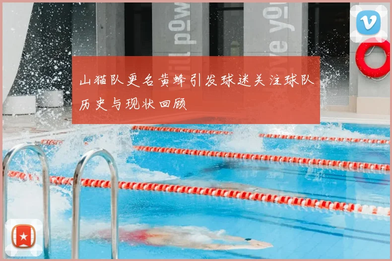 山猫队更名黄蜂引发球迷关注球队历史与现状回顾