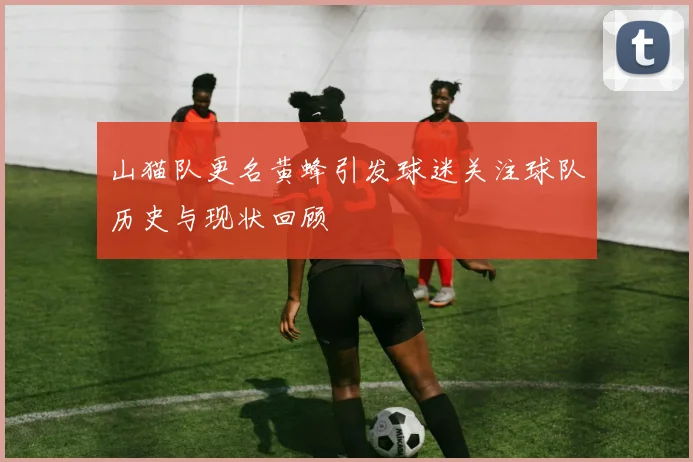 山猫队更名黄蜂引发球迷关注球队历史与现状回顾