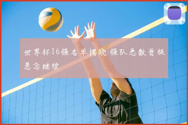 世界杯16强名单揭晓 强队悉数晋级悬念继续